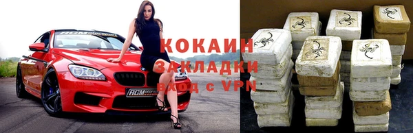 крисы Кодинск