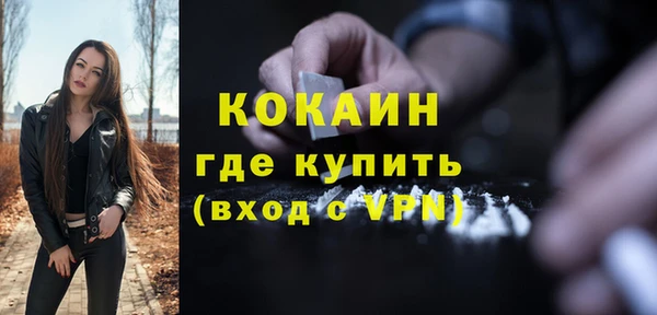крисы Кодинск