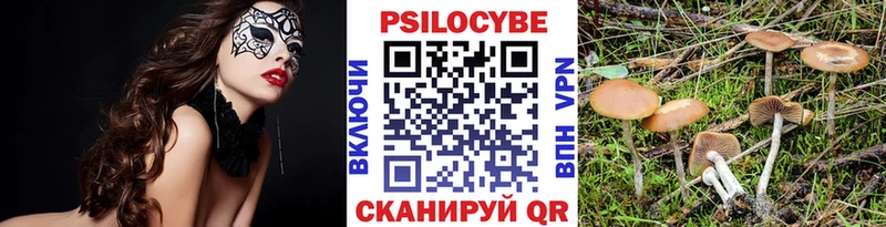Купить где  Поронайск  Псилоцибиновые грибы GOLDEN TEACHER 